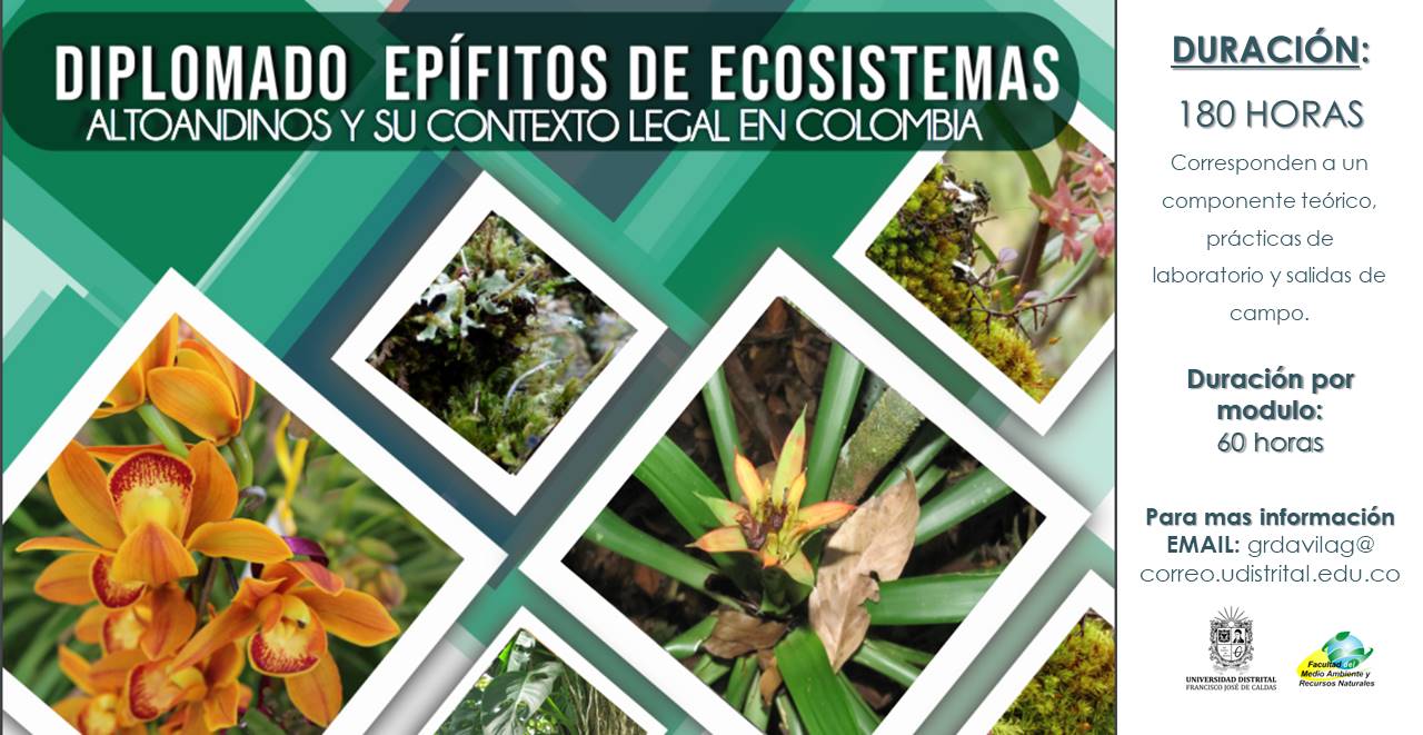  Diplomado en Epífitos de Ecosistemas Colombianos y su Contexto Legal